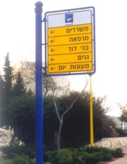 עלי