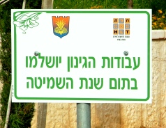 שלט כללי - נתניה