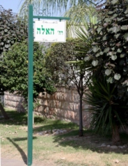 אחיטוב