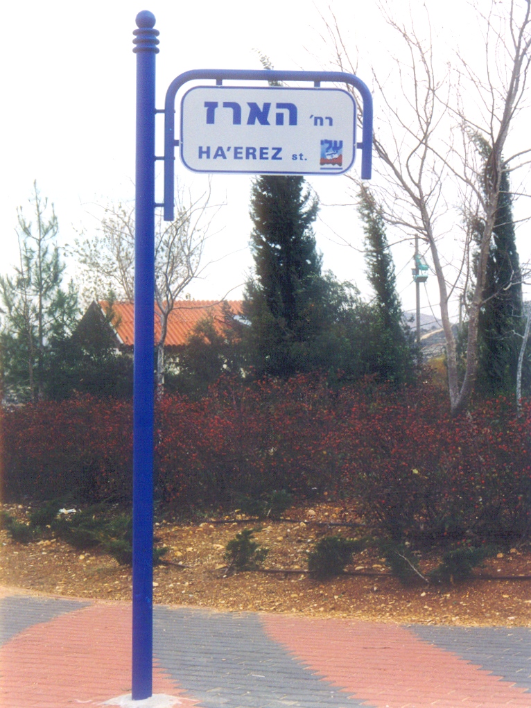 עלי